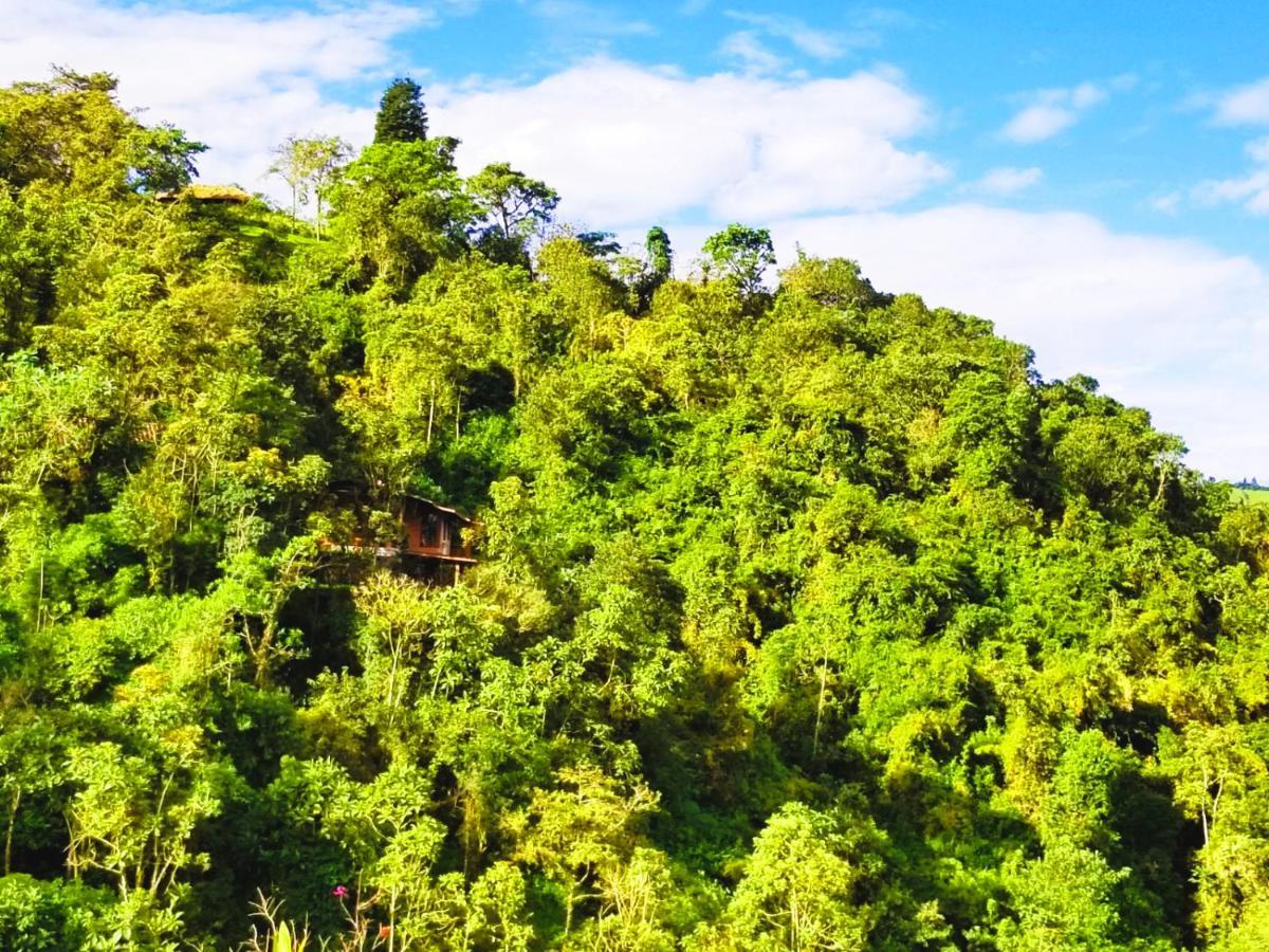 Finca Petrona Calacali Экстерьер фото