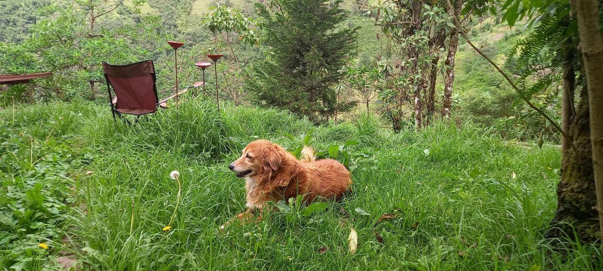 Finca Petrona Calacali Экстерьер фото