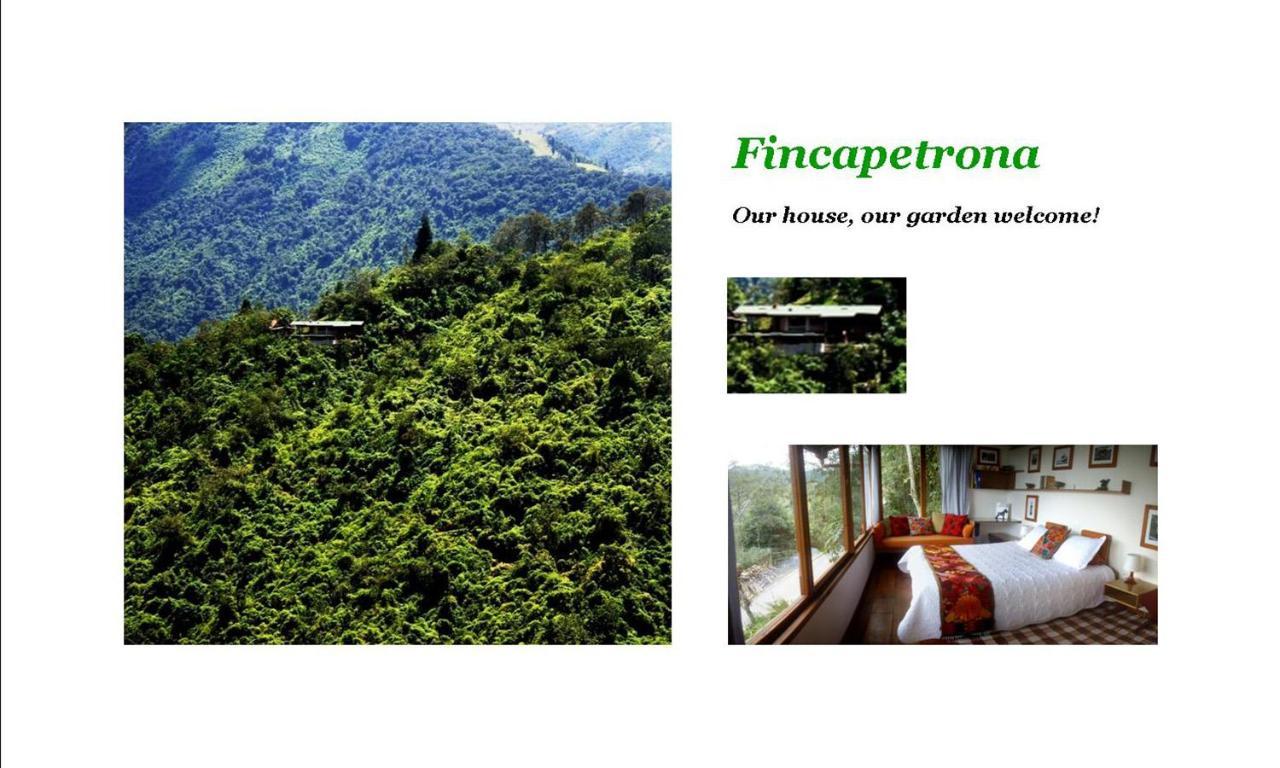 Finca Petrona Calacali Экстерьер фото
